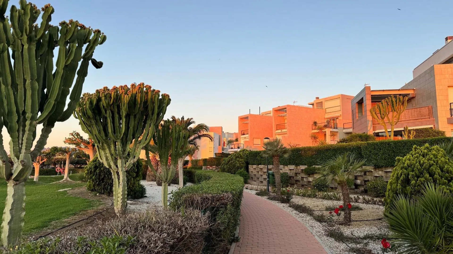 Appartement Apartamento Vera Playa